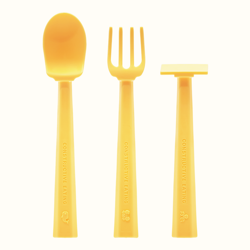 Turtle Training Plate and Utensils